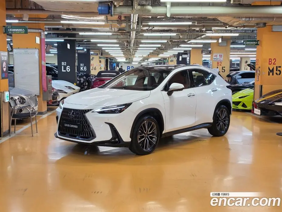 Lexus NX 2026 2.5 вариатор, фото 1 Lexus NX 2026 2.5 вариатор, фото 1