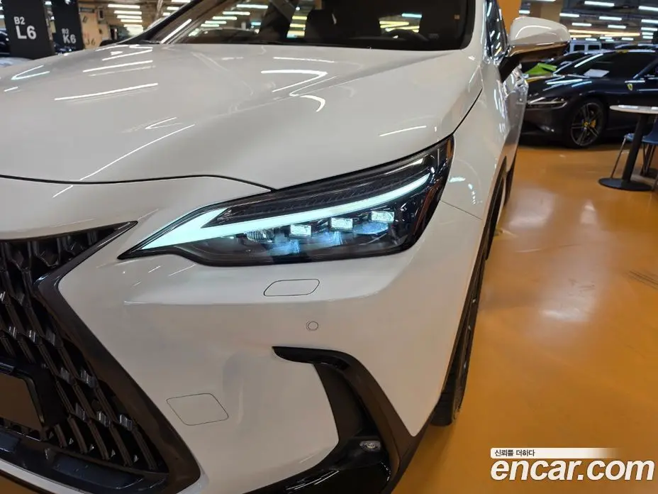 Lexus NX 2026 2.5 вариатор, фото 17 Lexus NX 2026 2.5 вариатор, фото 17