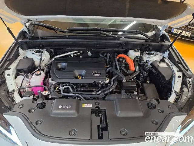Lexus NX 2026 2.5 вариатор, миниатюра 6 Lexus NX 2026 2.5 вариатор, миниатюра 6